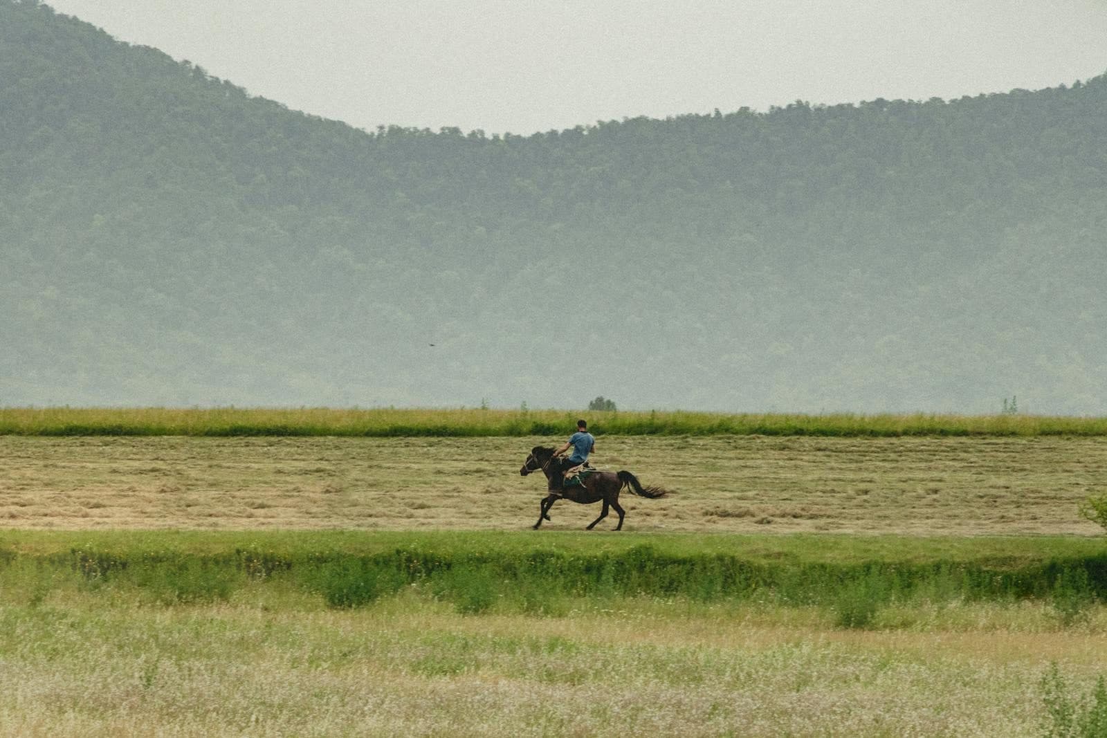 Paseos a caballo