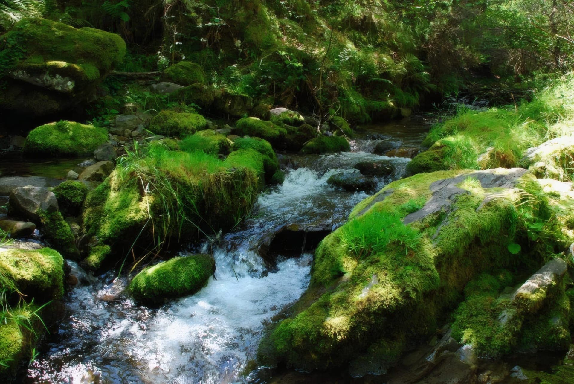 Paisaje de la Sierra de la Demanda